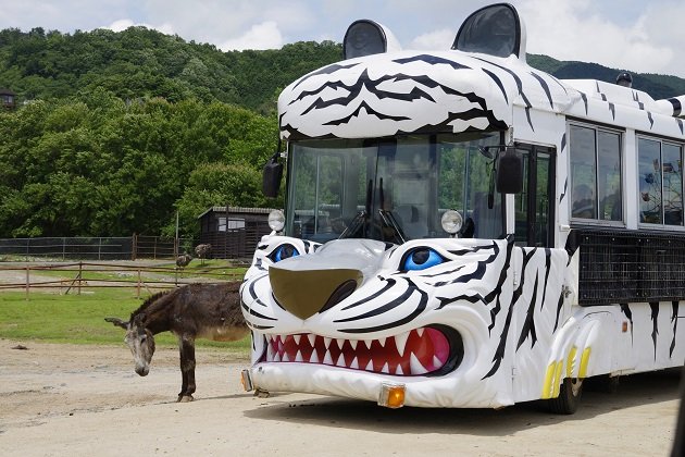 🦁 아키요시다이 자연동물공원 사파리랜드(아키요시다이 시젠도부츠코엔 사파리란도) 이미지 3